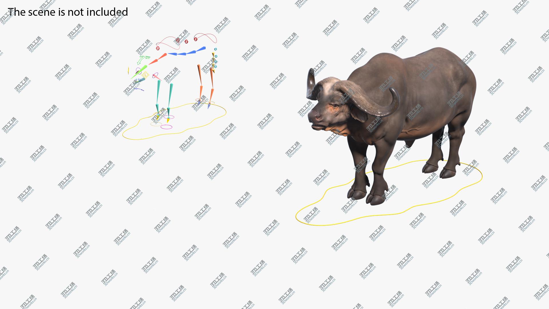 images/goods_img/20210319/3D Cape Buffalo African Buffalo Rigged/2.jpg